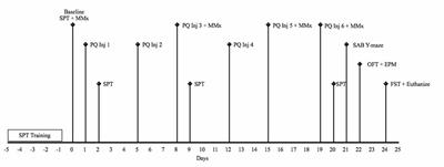 Age and Chronicity of Administration Dramatically Influenced the Impact of Low Dose Paraquat Exposure on Behavior and Hypothalamic-Pituitary-Adrenal Activity